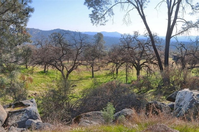 03.79AC Lilley Mountain Dr, Coarsegold, CA 93614 - photo 10