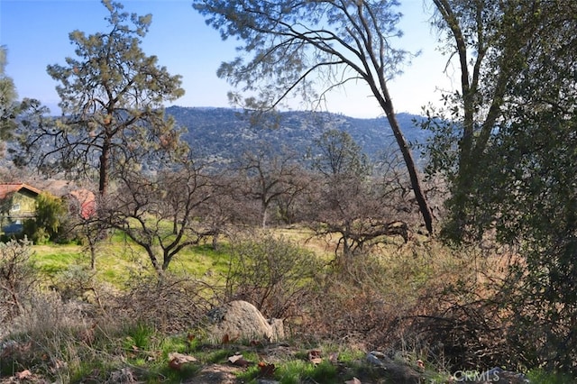 03.79AC Lilley Mountain Dr, Coarsegold, CA 93614 - photo 5