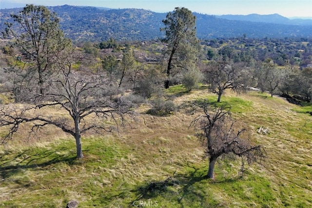 03.79AC Lilley Mountain Dr, Coarsegold, CA 93614 - photo 12