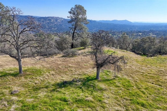 03.79AC Lilley Mountain Dr, Coarsegold, CA 93614 - photo 6