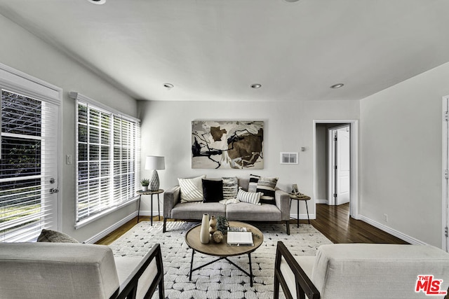 living room featuring hardwood / wood-style floors