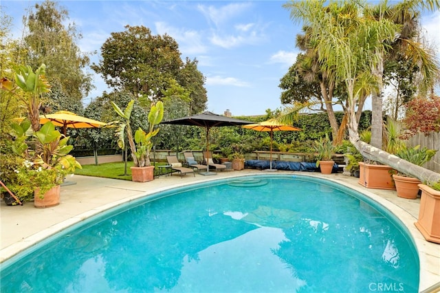 view of pool featuring a fenced backyard, a patio, and a fenced in pool