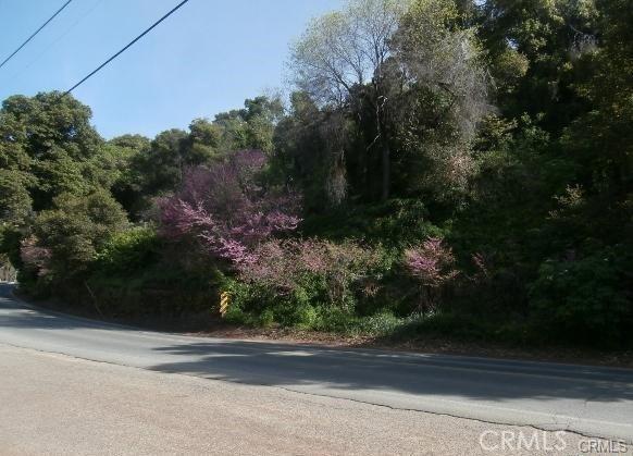 Listing photo 2 for 6285 Soda Bay Rd, Kelseyville CA 95451