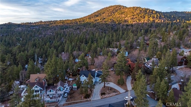 birds eye view of property featuring a mountain view