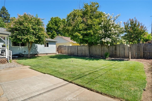 view of yard with a patio