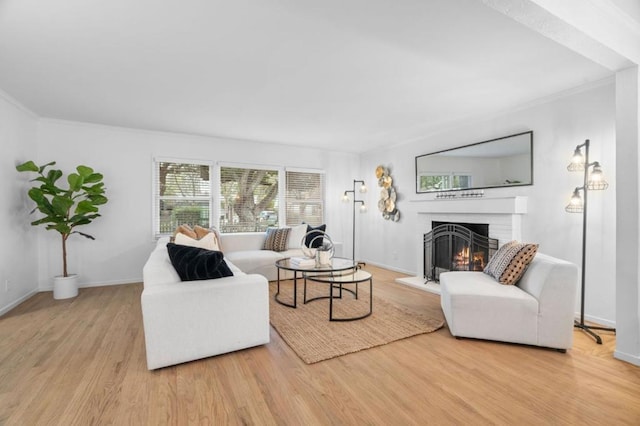 living room featuring crown molding and light wood-type flooring