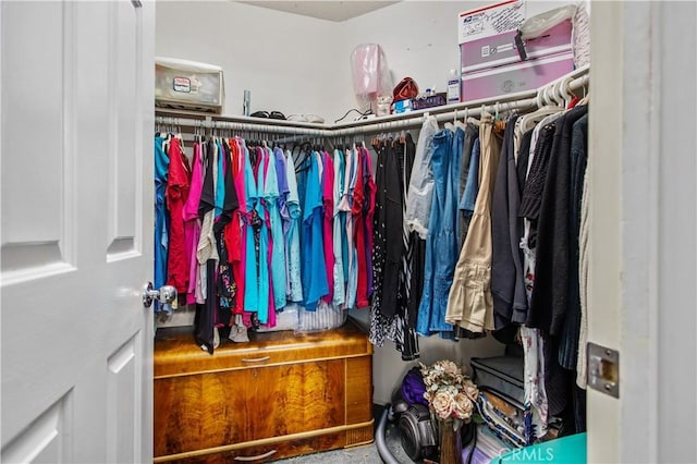 view of spacious closet