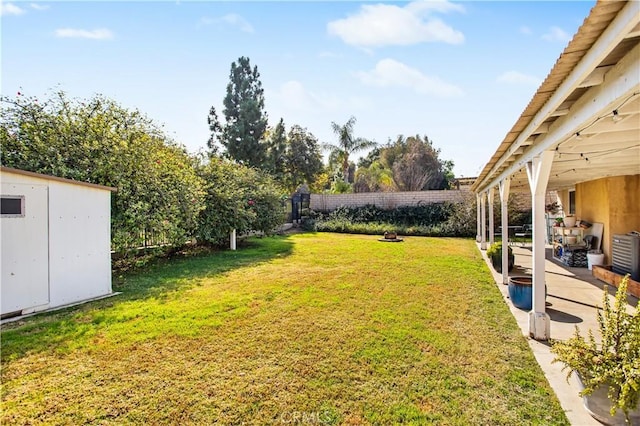 view of yard featuring a patio area and a shed