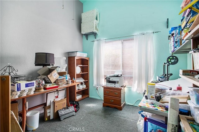 miscellaneous room featuring a healthy amount of sunlight and dark colored carpet