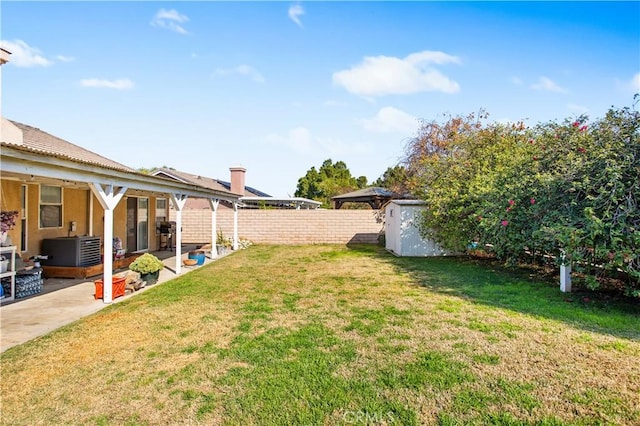 view of yard featuring a patio area and a shed