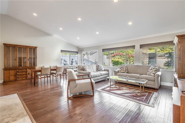 living room with hardwood / wood-style floors and high vaulted ceiling