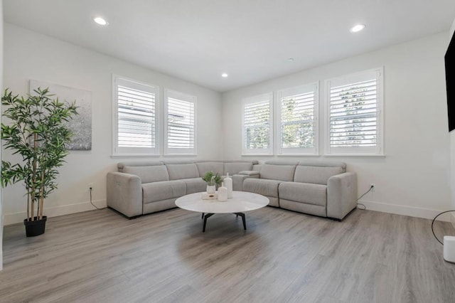 living room featuring a wealth of natural light and light hardwood / wood-style flooring