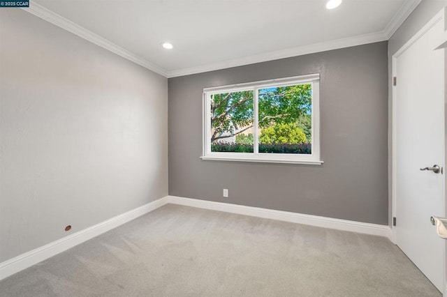 empty room featuring crown molding and carpet