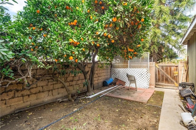 view of yard with a patio