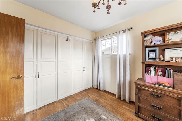 interior space with a closet and light hardwood / wood-style flooring