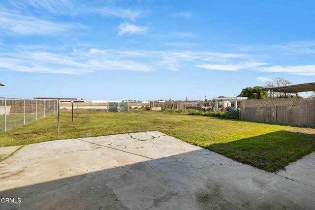 view of yard featuring a patio area