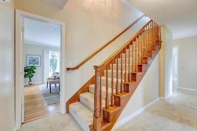 stairway featuring carpet floors