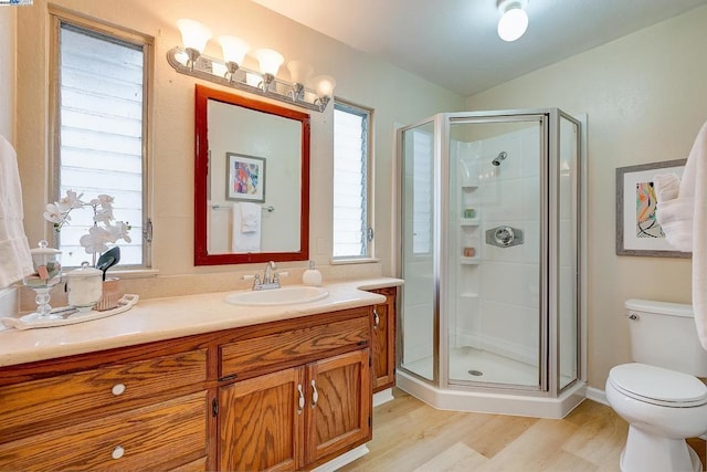 bathroom featuring a shower with door, vanity, and a healthy amount of sunlight