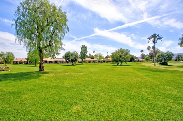 surrounding community featuring a lawn