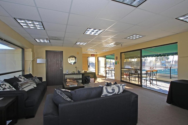 carpeted living room with plenty of natural light and a paneled ceiling