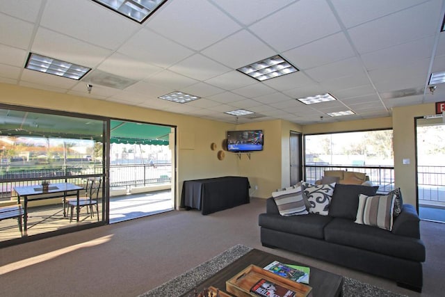 carpeted living room featuring a drop ceiling