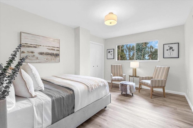 bedroom featuring light hardwood / wood-style flooring and a closet