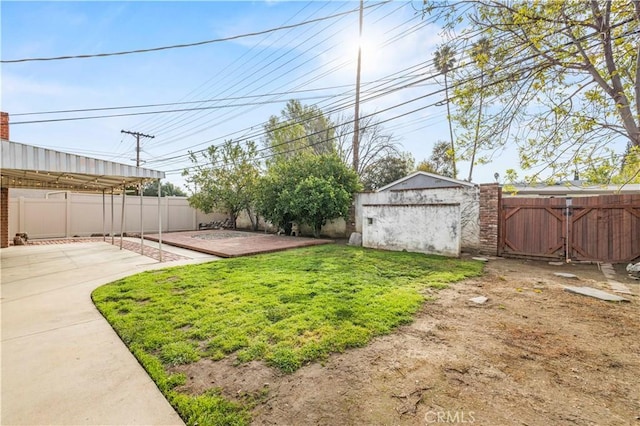 view of yard featuring a patio and a storage unit