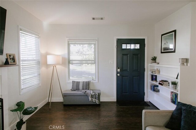 entrance foyer with dark wood-type flooring