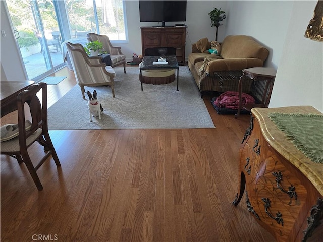 living room featuring light hardwood / wood-style flooring