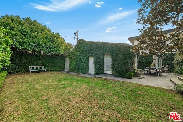 view of yard featuring a patio area