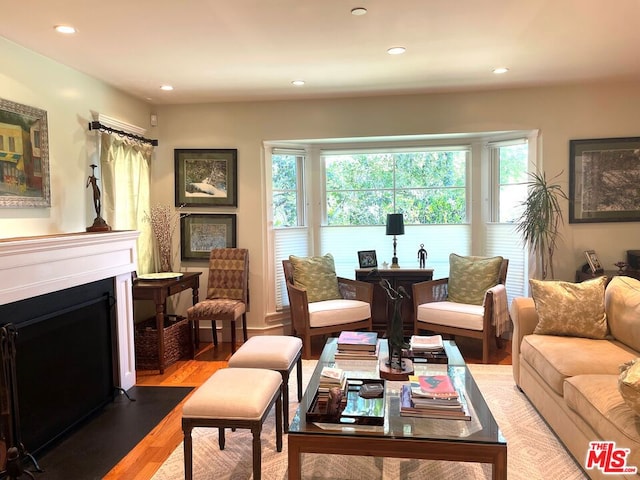 living room with light hardwood / wood-style floors