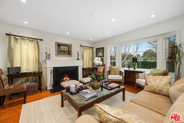 living room featuring light hardwood / wood-style flooring