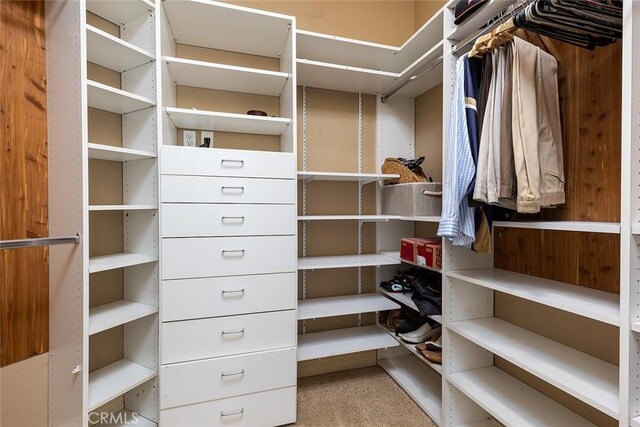 view of spacious closet