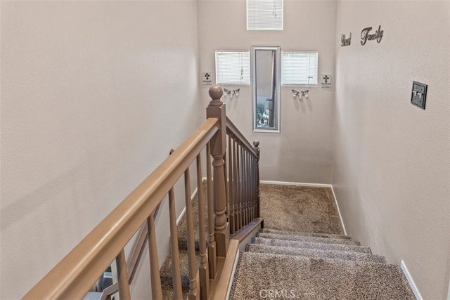 stairs featuring carpet floors