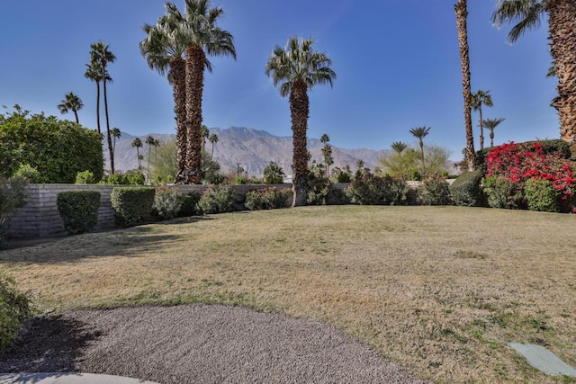 view of yard with a mountain view