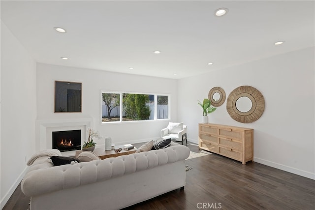 living room featuring dark wood-type flooring