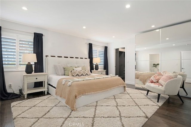 bedroom with a spacious closet, wood-type flooring, and a closet