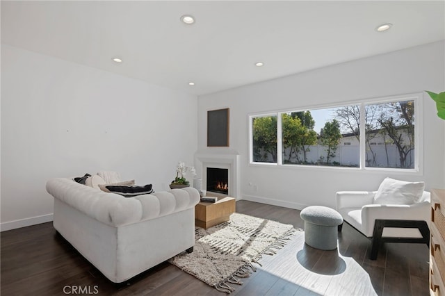 living room with dark hardwood / wood-style floors