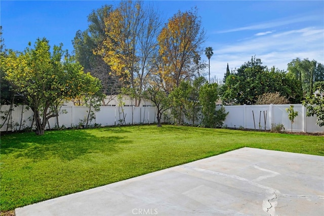 view of yard with a patio area