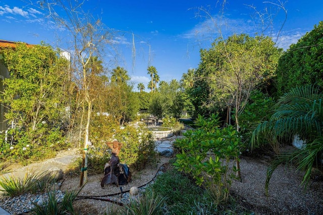 view of local wilderness