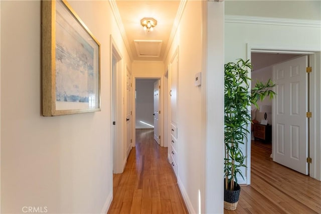 hall featuring crown molding and light hardwood / wood-style floors