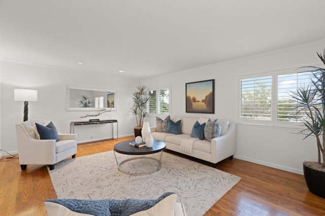 living room featuring crown molding and wood-type flooring