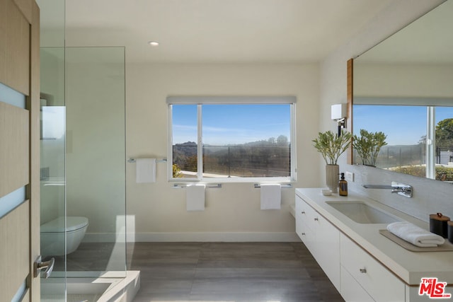 bathroom with walk in shower, a healthy amount of sunlight, toilet, and vanity