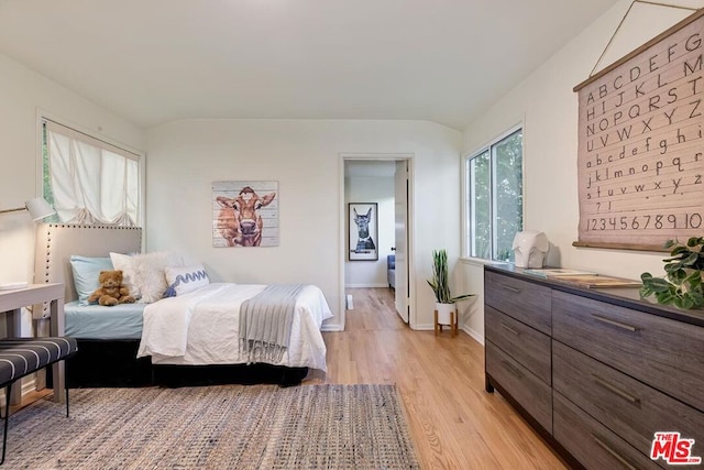 bedroom featuring light hardwood / wood-style floors