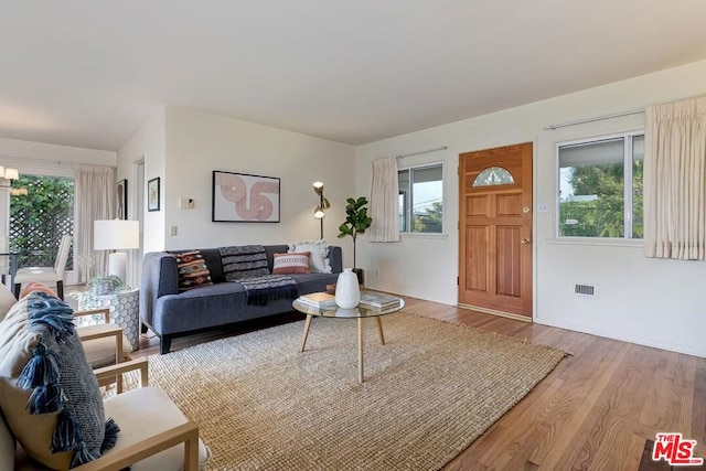 living room featuring plenty of natural light and hardwood / wood-style floors