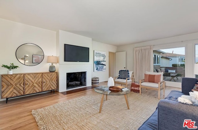 living room featuring a fireplace and wood-type flooring