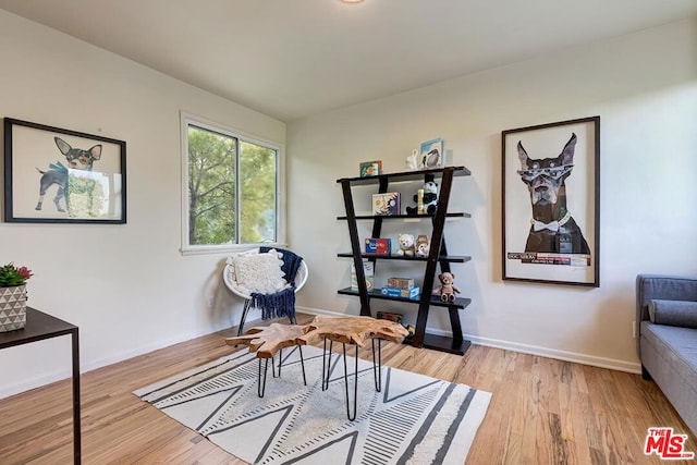 sitting room featuring light hardwood / wood-style floors