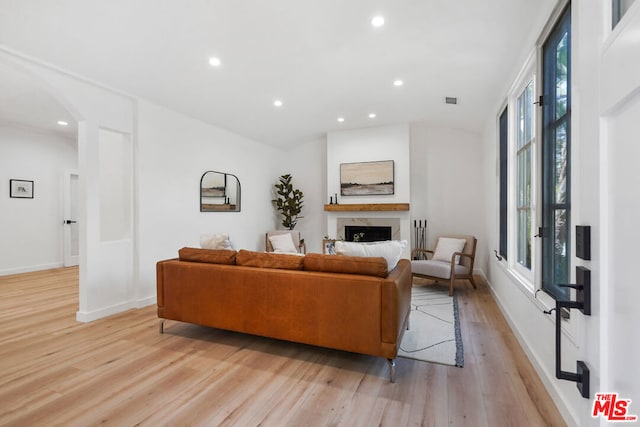 living room featuring light hardwood / wood-style flooring