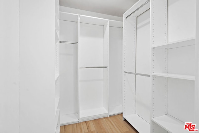 spacious closet with hardwood / wood-style flooring