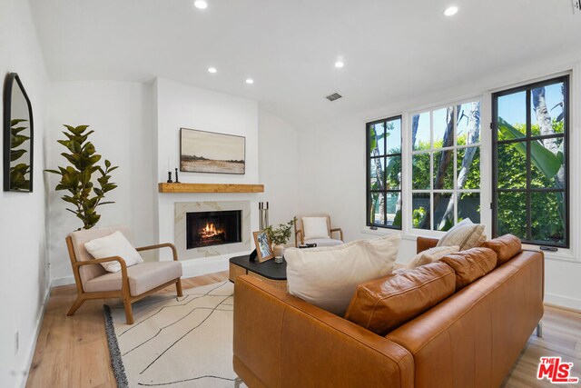 living room with a premium fireplace and light hardwood / wood-style flooring